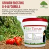 Eden Tomato Organic Enriched Fertilizer | Neem Plant Food 8-5-8