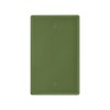 Kigai Blank Wall Plate,Plain Dark Olive Green Solid Color Outlet