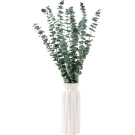 10 Pcs Dried Eucalyptus Stems 17" Real Eucalyptus for Shower Hanging 100% Made from Fresh Eucalyptus Leaves, Wedding Decor Home Decor Farmhouse Decor DIY Spring Decor,Green