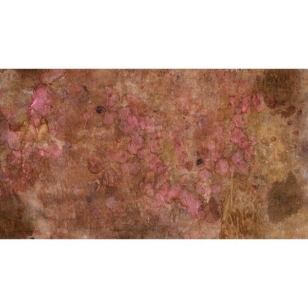 Sugared and Bronzed-2-2L Poster Print - Melissa Renee (36 x