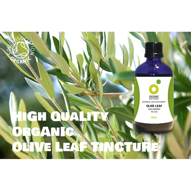 Organic Herbal Remedies 100ml Olive Leaf Tincture