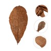CIYODO 20pcs Dried Leaf for Sushi Plate Elegant Japanese Food
