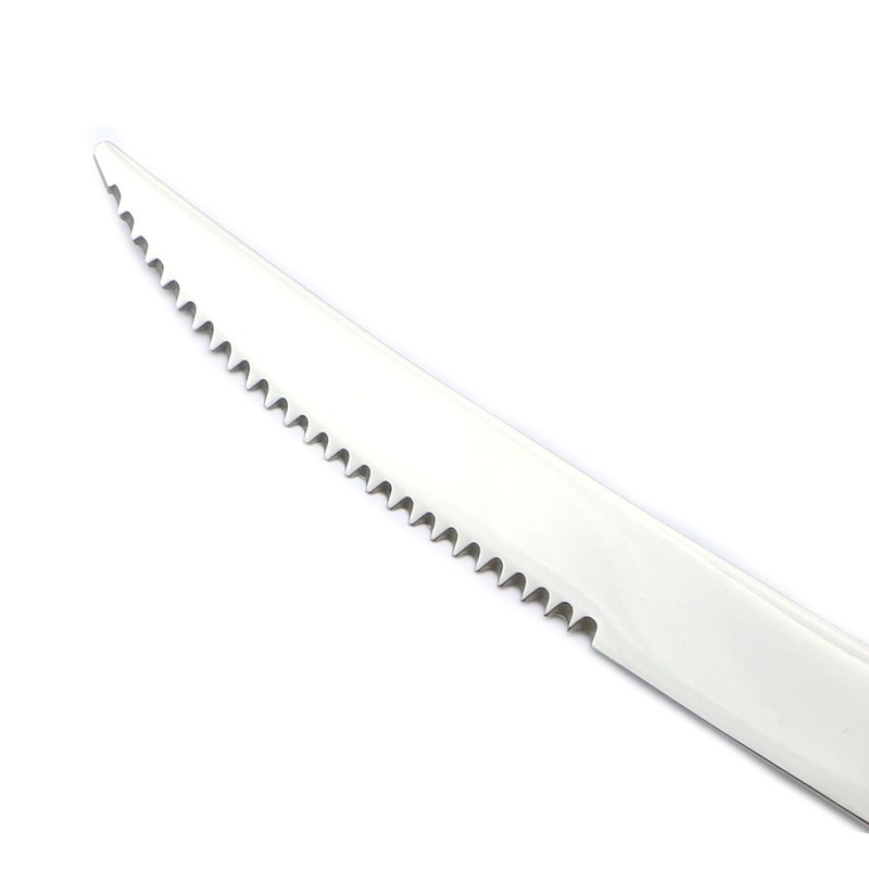 JANKNG 20-Piece 18/10 Stainless Steel Serrated Steak Knife Flatware Set,