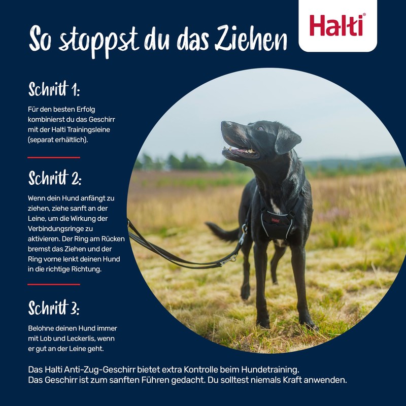 Halti Anti-Pull Dog Harness, Size L, Forest Green