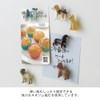 Midori 43426006 Mini Magnets, Pack of 6, Dog Pattern
