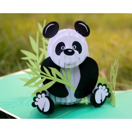 CUTPOPUP Birthday Card Pop Up, Greeting Card 3D Pop Up (Panda) UK