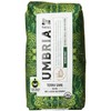 Caffe Umbria Fresh Seattle Whole Bean Roasted Coffee, Terra Sana
