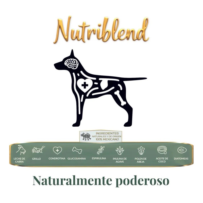 Suplemento Natural Para Perros: Articulaciones, Piel Y Más