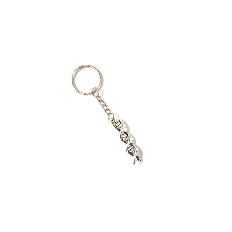 Dreambase DNA Keyring Antique Silver, antique silver