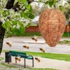 DECYOOL 6 Pack Paper Wasp Nest Decoy Hanging Wasp Nest