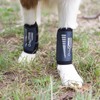 Ortocanis - Dog Leg Brace - Front Leg Brace for