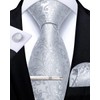 DiBanGu Mens Paisley Tie Formal Silk Tie & Pocket Square