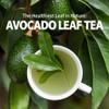 Avocado Leaf Tea – Peach Blend | 8-Pack Single Serve