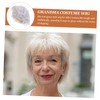 VICASKY Grandmother Wig for Women Short Grey Synthetic Hair Elderly