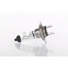 10 x Bosch H7 24 V 1987302471 Lampadina Faro
