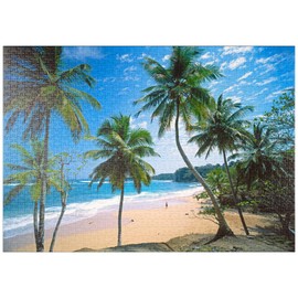 Puzzle Galaxy Playa Grande, Rio San Juan, Maria Trinidad Sanchez, Dominican Republic - Premium 1000 Piece Jigsaw Puzzle