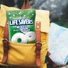LIFE SAVERS Wint O Green Individually Wrapped Mints, Candy Variety