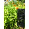 Black Garden Border Edging Folding Fence Roll 14 inches by