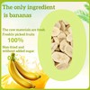 Freeze-Dried Banana Slices | Pure Fruit Snack | Crunchy Travel
