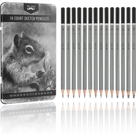 Artist Quality Fine Art Drawing & Sketching Pencils (H-14B), 24 Piece Set