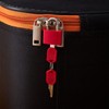 Soleeya Pack of 6 Mini Suitcase Lock with Keys, Colourful