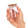 4 oz Premium Borosilicate Clear Tall Glass Jars with Bamboo