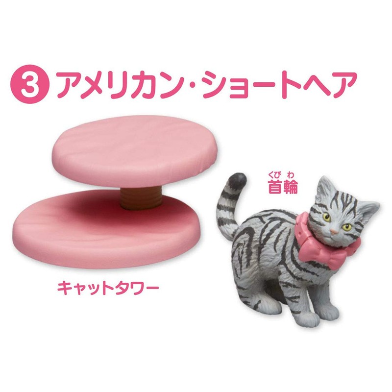 ania ania friends cat