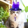 ComiMag Dog Hat Cat Hat Rabbit Hat Fascinator Hat Tea