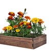 Plant Stake Support - 6 Pack, Garden Single Stem Support