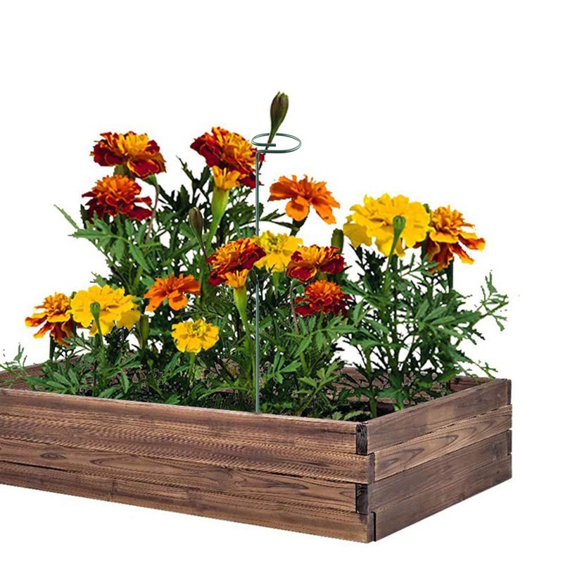 Plant Stake Support - 6 Pack, Garden Single Stem Support