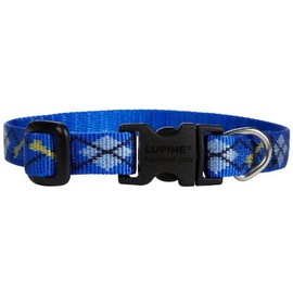 LupinePet Originals 1/2" Dapper Dog 8-12" Adjustable Collar for Small Dogs