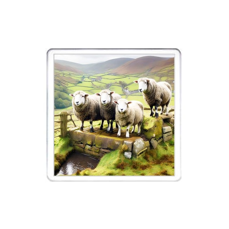 Sheep Coaster Set. 4 different Sheep Pictures on 10cm x