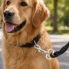 Toddmomy 2pcs Stainless Steel Pet Leash Swivel Snap Hook Trigger