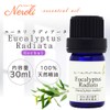 Eucalyptus Radiata < 30ml > Essential Oil / Essential Oil