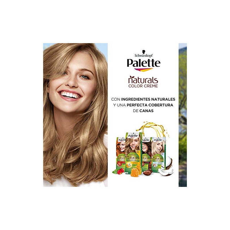 Palette Nc 4 Castaño Medio Pincel Es