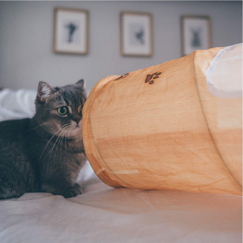 necoichi Cat Tunnel Spiral Wood Grain Pattern