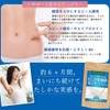 EC-12乳酸菌＆ラクトフェリン粒 大容量約6ヶ月分/360粒（EC-12乳酸菌、ラクトフェリン、ビール酵母、ホエイプロテイン、ビタミンB6）