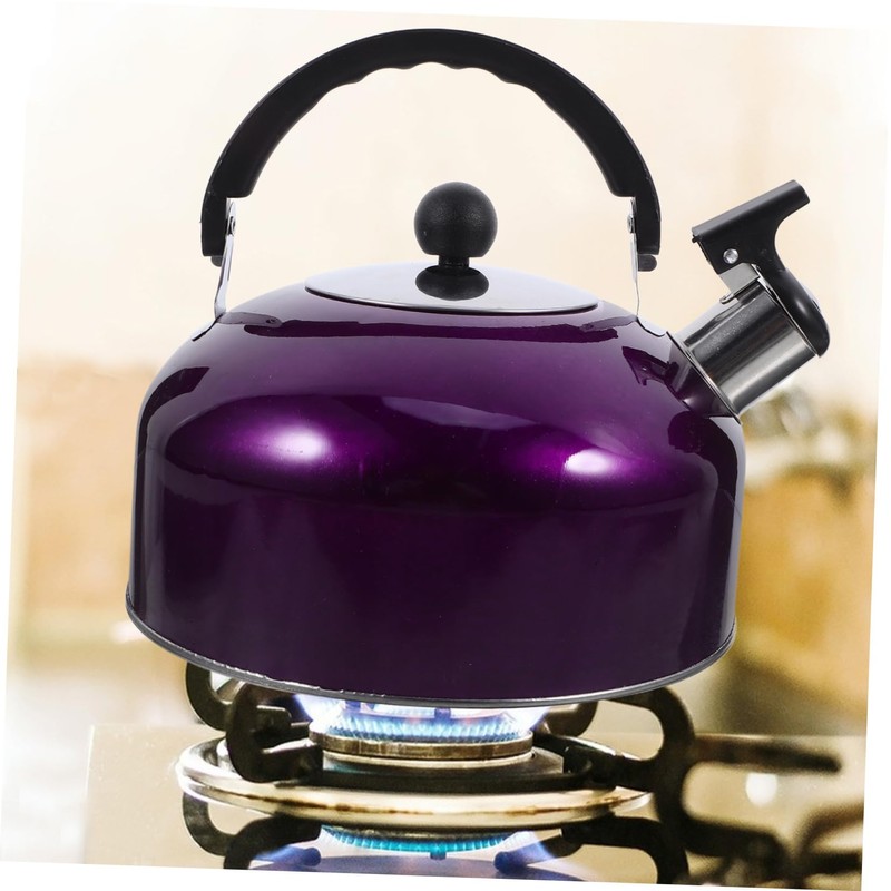 Gatuida Whistling Kettle Stainless Steel Spherical Boiling Pot for Kitchen