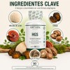 Adaptoheal HGS Melena de León, Reishi, Chaga, Shiitake y Cola