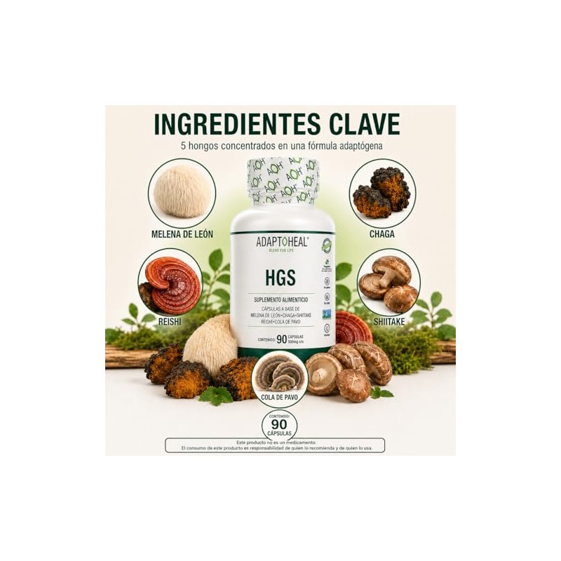 Adaptoheal HGS Melena de León, Reishi, Chaga, Shiitake y Cola