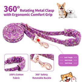 Dote on Dog Collar and Lead Set with Bow Tie, Girl Dog Collar with Detachable Flower with Strong Gold Buckle, Adjustable Soft Padded Pet Collar for Small Medium Large Dogs(Purple,S)