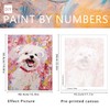 TMBEAR Paint by Numbers Kit for Adults 16x20 Inch (2