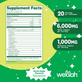 Wellah So Long Soreness BCAA Powder (Green Apple Flavored) 30 Servings - with Hydration Complex