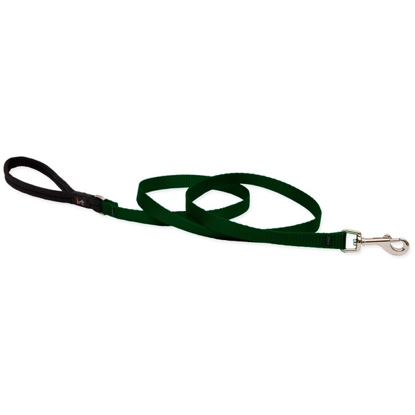 LupinePet Basics 1/2" Green 4-foot Padded Handle Leash for Small Pets