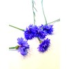 Pure Blue Cornflower Petals - 100% Natural Centaurea cyanus -