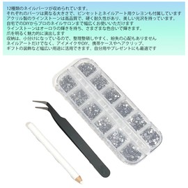 Audio Fan Nail Parts, Large Capacity, Diamond Tone, Nail Rhinestone, Art Parts, DIY, Handmade Material, Craft Parts, Decoration, Silver, Tweezers and Crayons for Nail Art