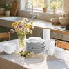 BUSOKIP Wheat Straw Dinnerware Sets - 40 PCS Unbreakable Plates