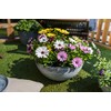 TS Planter Basket Cera Nova Mix Frost Resistant and Lightweight,