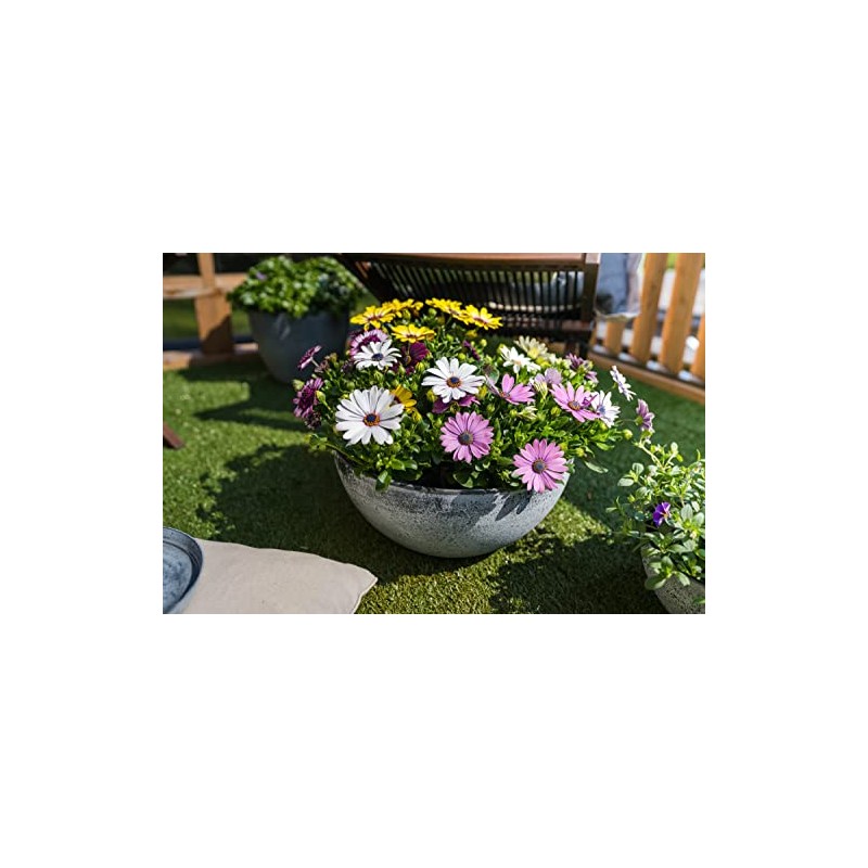 TS Planter Basket Cera Nova Mix Frost Resistant and Lightweight,