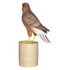 Brave Wings Hand Carved Wooden Eagle ~ While Tailed Eagle